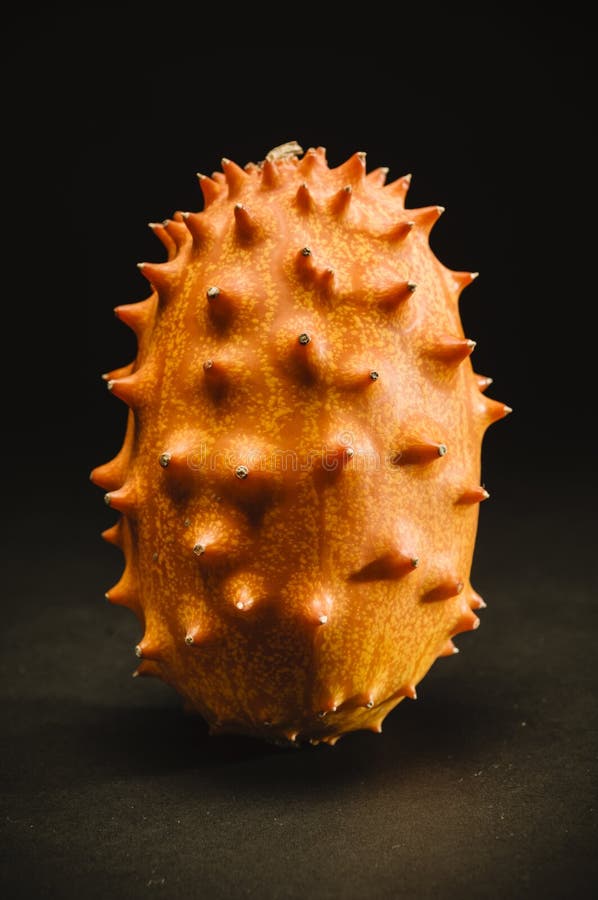 Kiwano Fruit in Dramatic Light Stock Image Image of horn, black