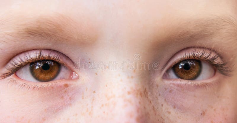 Close up expressivo dos olhos de uma moça com freckles_ imagens de stock royalty free Close up expressivo dos olhos de uma moça com freckles_ imagens de stock royalty free