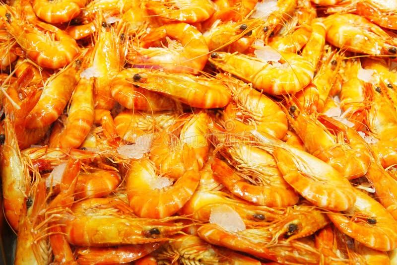 Close up extra large cooked tiger prawns sell at seafood store.