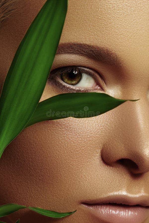 Close-up beautiful young woman with smooth tanned skin with green leaves. Beauty model with natural bronze make-up stock images Close-up beautiful young woman with smooth tanned skin with green leaves. Beauty model with natural bronze make-up stock images