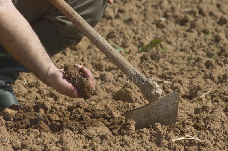 Close up of a farmer working on the farm