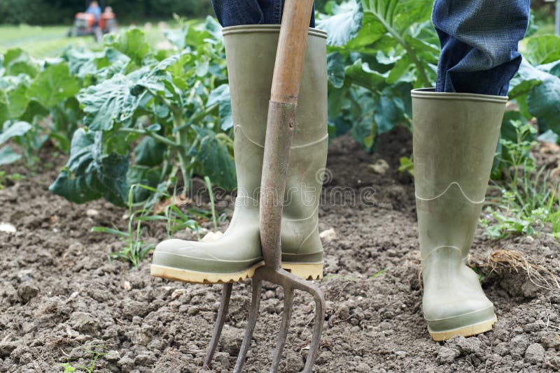 Close Up Of Farmer Working In Organic Farm Field royalty free stock photos