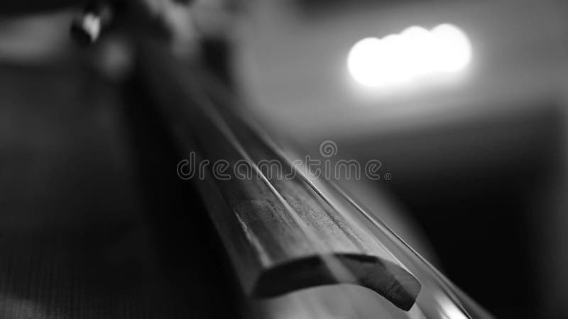Musician playing cello strings with hands and bow stock video