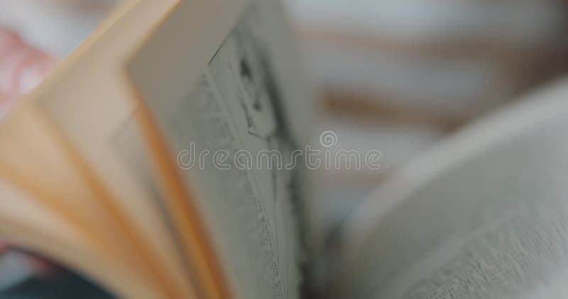 Book opening with turning pages. Include, Stock Video