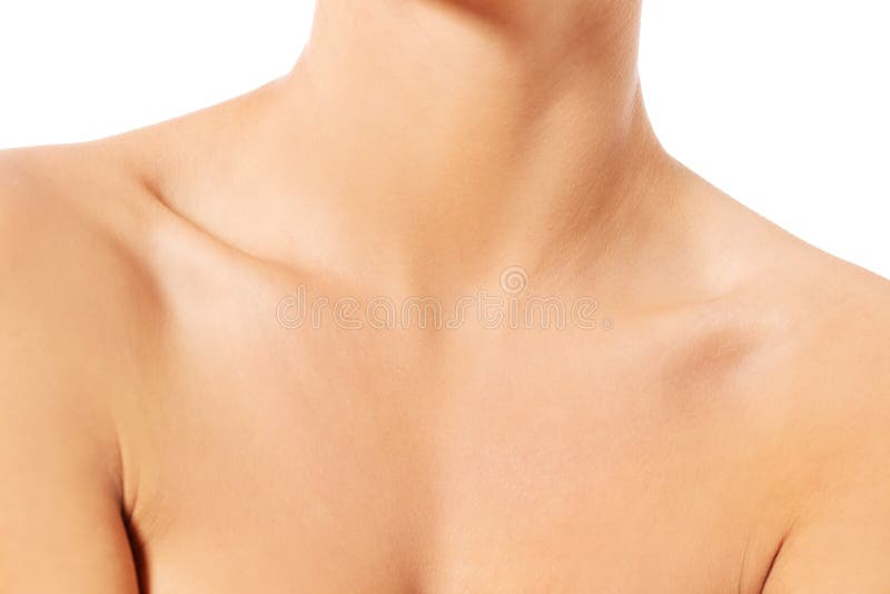 Close Up of Female Neck and Shoulder Stock Image Image of adult, hair