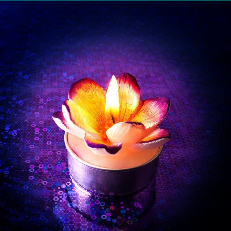 Glowing Flower Shaped Candles Stock Image Image of petals, orange