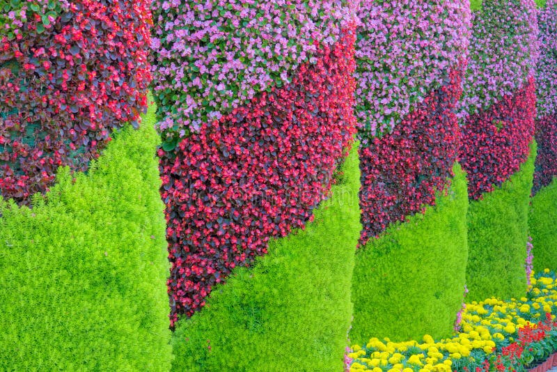The close-up of flower pillars in parterre. Pillar column garden stock images, royalty-free photos and pictures
