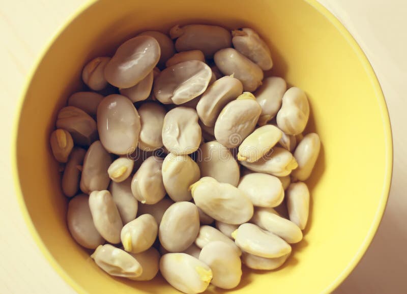 A Close Up of Fresh Broad Beans. Stock Image Image of gourmet