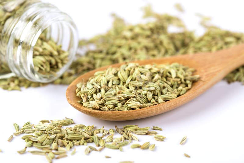 Close Up the Fresh Fennel Seed on White Background Stock Image Image