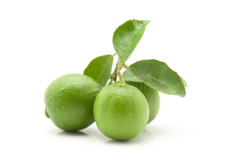 Close-up of fresh green organic lemon Citrus limon with leaf isolated over white