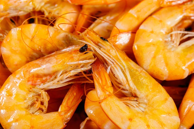 Close-up of fresh raw shrimps. Food background stock photography
