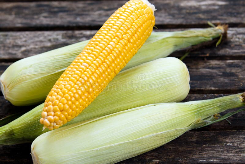 Close up Fresh Ripe Sweetcorn on old wooden table. ready to cook stock image Close up Fresh Ripe Sweetcorn on old wooden table. ready to cook stock image