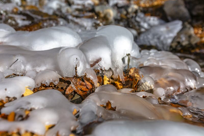 Close up of frozen water on a rocky stream with scattered fallen brown leaves royalty free stock photo Close up of frozen water on a rocky stream with scattered fallen brown leaves royalty free stock photo