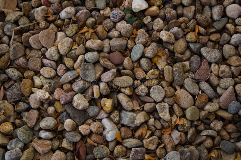 Seamless River Rock Texture