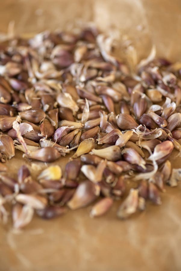 Close Up of Garlic Cloves on Brown Paper Stock Image Image of close, spice 174425725