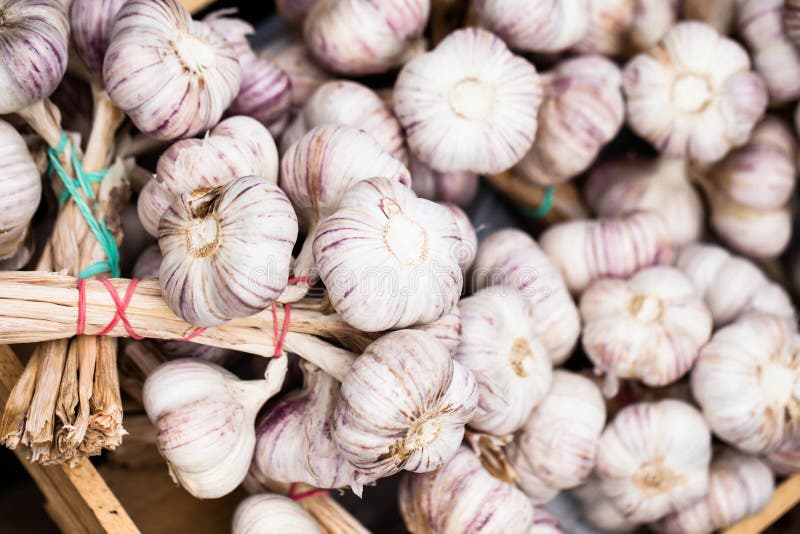Close up of garlic on market stand. Background, harvest.