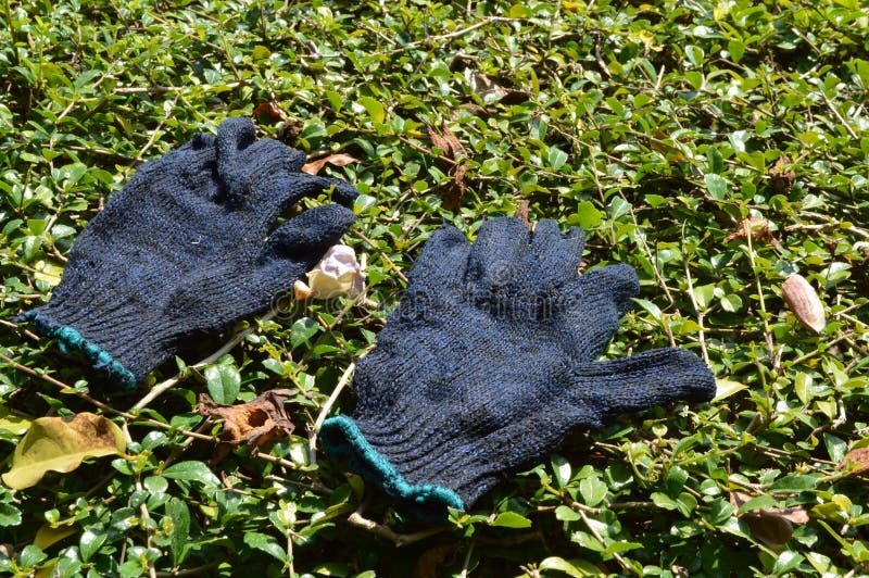Gloves on green grass stock image. Image of close, grass 112312609