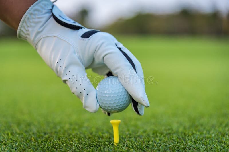 Close up golf ball in golf glove hand with green grass. Golfing, fairway.