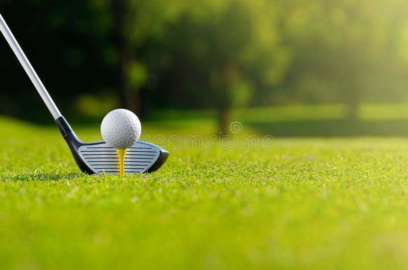 Let`s golf today