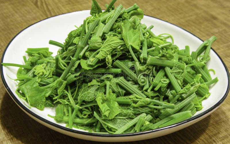 Green and Healthy Food : Gracilaria Stock Photo - Image of dish, green ...