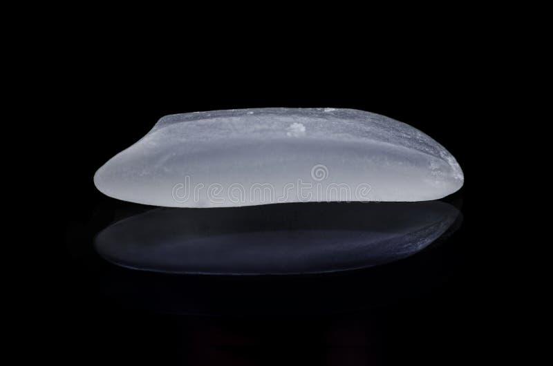 One rice macro royalty free stock images