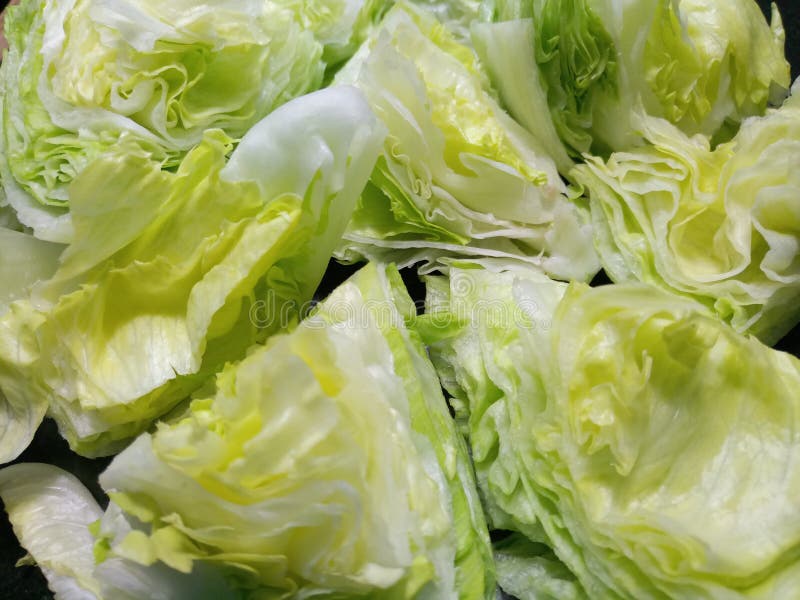 Close Up of Green Crispy Lettuce Stock Image Image of fresh, green 103512273