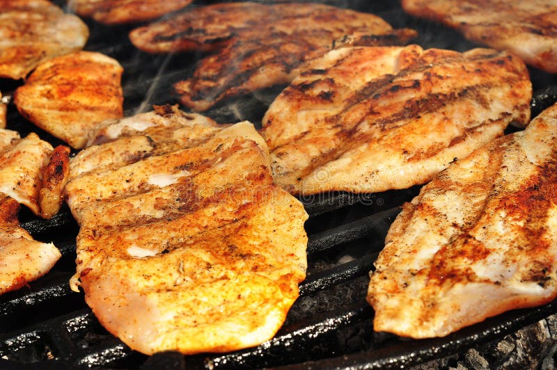 Close up of a grilled chicken breast