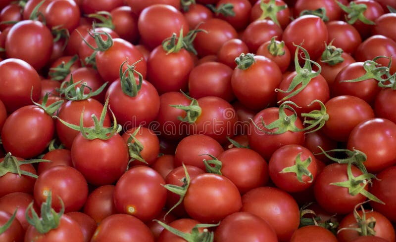 Close up of group of fresh red tomatoes at a farmers market. stock images