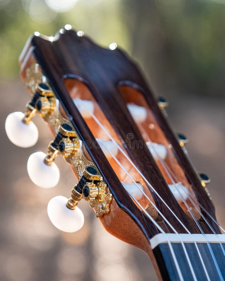 Closeup of the Guitar Head of a Classical Guitar with Gold Pegs. Part