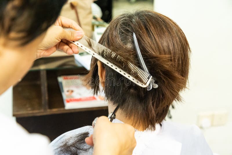 1,164 Asian Hair Dresser Stock Photos - Free & Royalty-Free Stock Photos  from Dreamstime