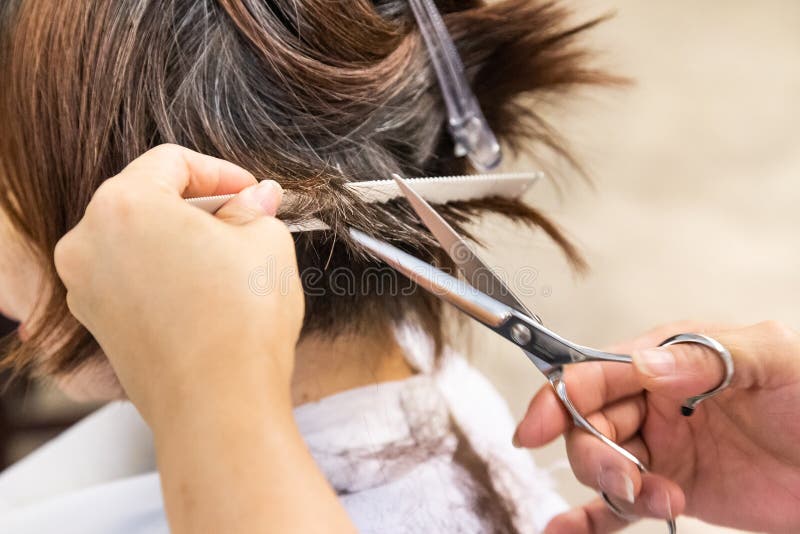 Close-up of Hair Dresser Barber Cutting Hair of Female Client with Scissors and Comb Stock Image - Image of hairstylist, haircut: 203889443 Close-up of Hair Dresser Barber Cutting Hair of Female Client with Scissors and Comb Stock Image - Image of hairstylist, haircut: 203889443