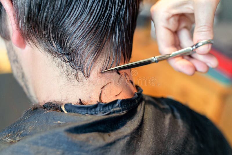 Close up of hairstylist`s hands cutting strand of man`s hair. Professional hairdresser or barber occupation. stock photography Close up of hairstylist`s hands cutting strand of man`s hair. Professional hairdresser or barber occupation. stock photography
