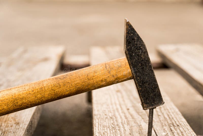Closeup Hammer that Drives a Nail into the Board Stock Image Image of working, person 201285813