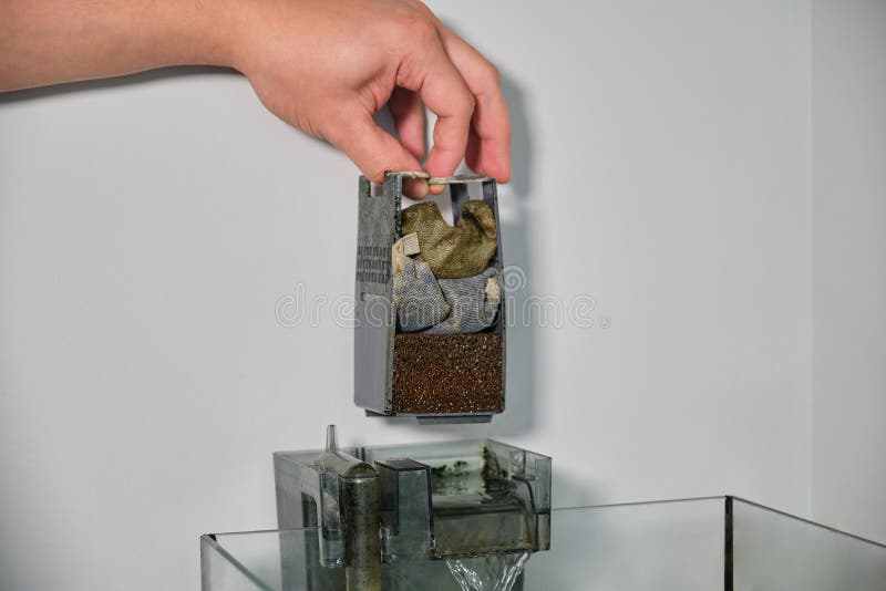 Close up of a hand disassembling a fish tank waterfall filter to clean it. stock photo