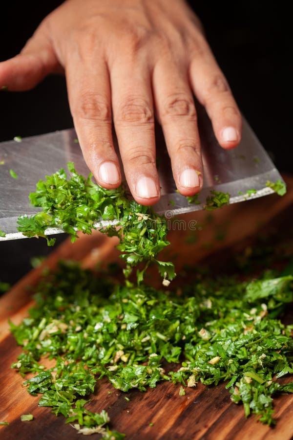 Freshly chopped green coriander on a light wood chopping board with a  mezzaluna herb chopper Stock Photo - Alamy