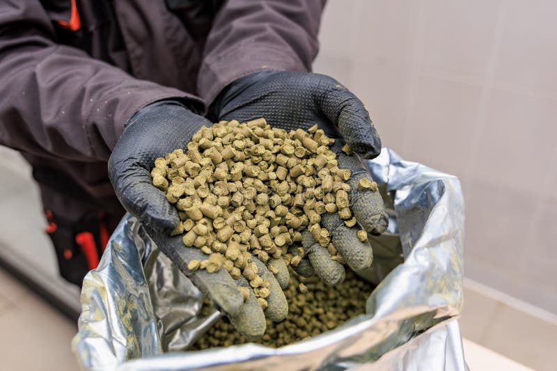 Close-up of hands holding fresh green pellets with gloves stock photos