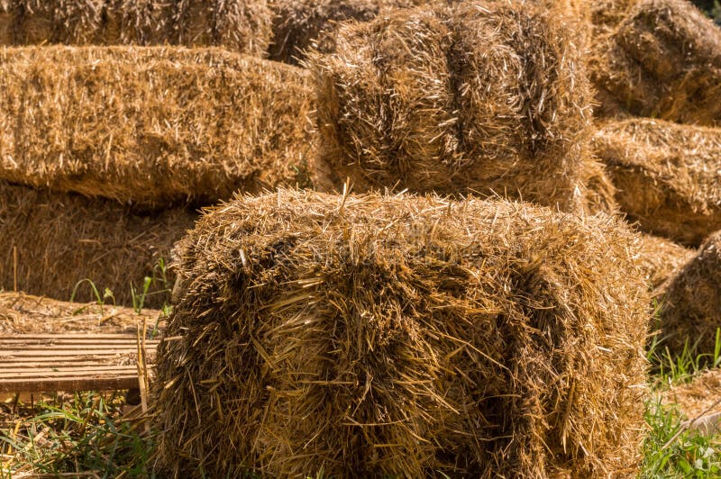 Close-up of Hay Bales in a Village. Dry Hay Stacks in Rural Scene ...