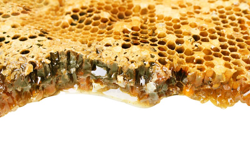 Honeycomb Patterns Texture with Honey Drip Top View Isolated on White ...