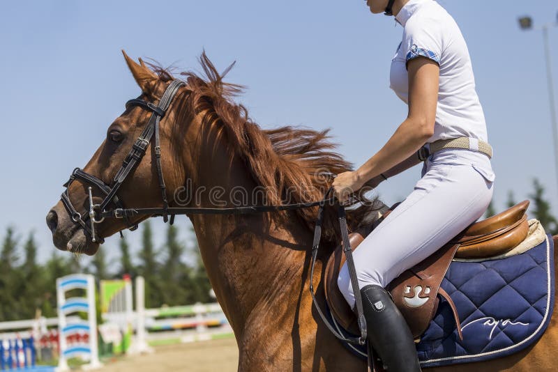 Riding round. Судзиловская верхом на лошади. Ходченкова верхом на лошади. Кэйа верхом на лошади. Геворгян лошади.