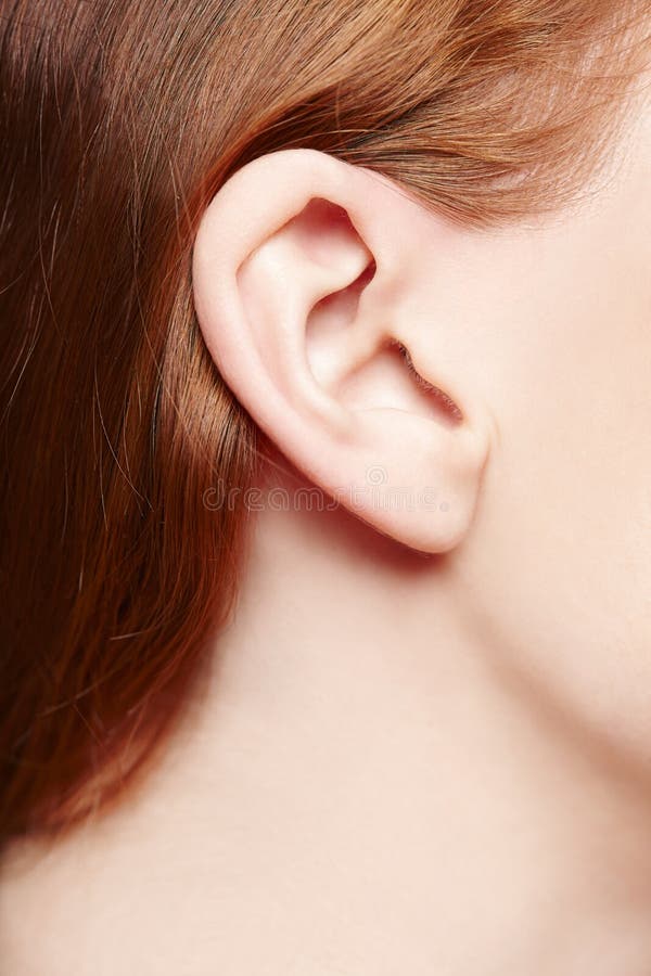 Close up humano da orelha