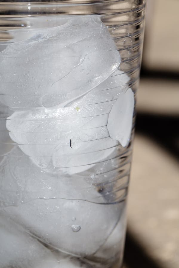 Close up of ice cubes partially melted in a clear glass. Out on a concrete deck in the summer. Water droplets forming and running down the side of the glass stock photography Close up of ice cubes partially melted in a clear glass. Out on a concrete deck in the summer. Water droplets forming and running down the side of the glass stock photography