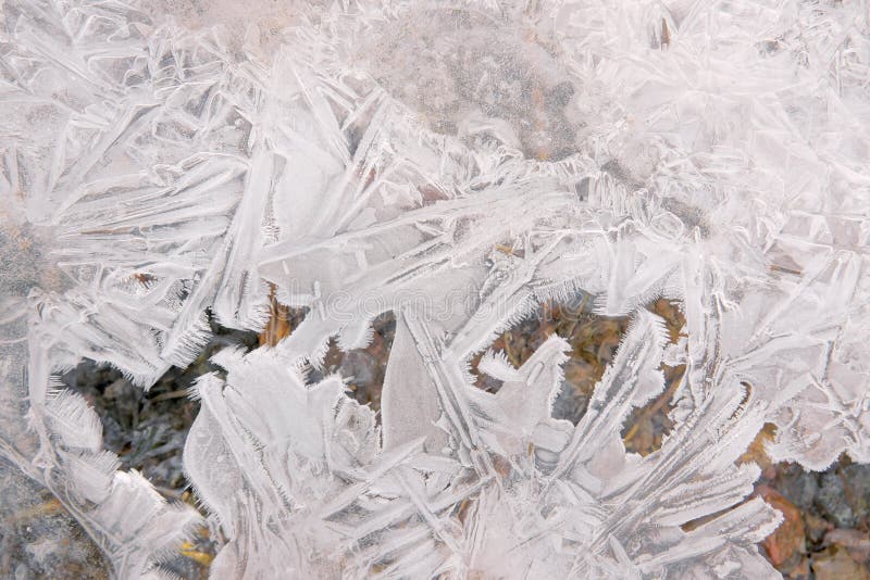 Ice flower stock image. Image of flowers, freeze, gelivation 202870697