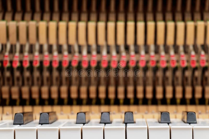 Close Up Image of Grand Piano Keys and Interior Showing Strings, Hammer