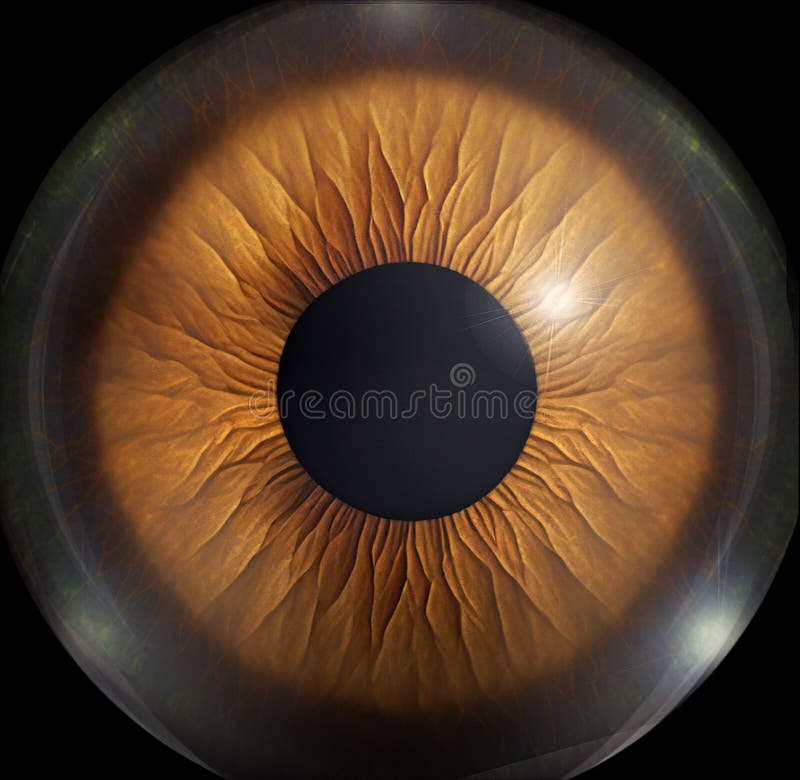 close up image of human iris ,3d illustration, ideal for background or texture