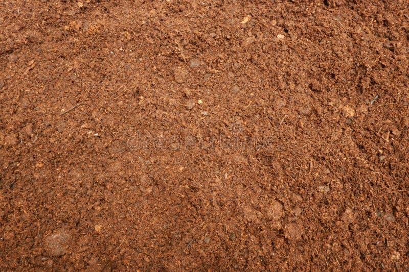 Peat Moss Soil Background stock image. Image of background - 141935231