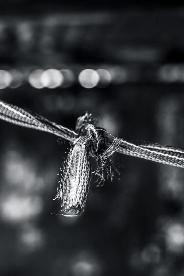 Close Up of Knot on the Old Cloth Washing Line. Stock Photo Image of