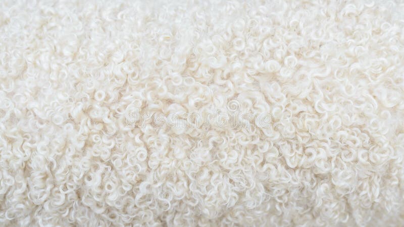 Close Up Of Lambswool Background Texture Stock Photo, Picture and