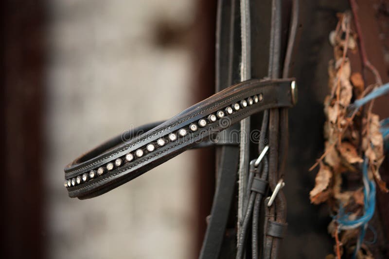 Close up of leather horse bridle royalty free stock photography