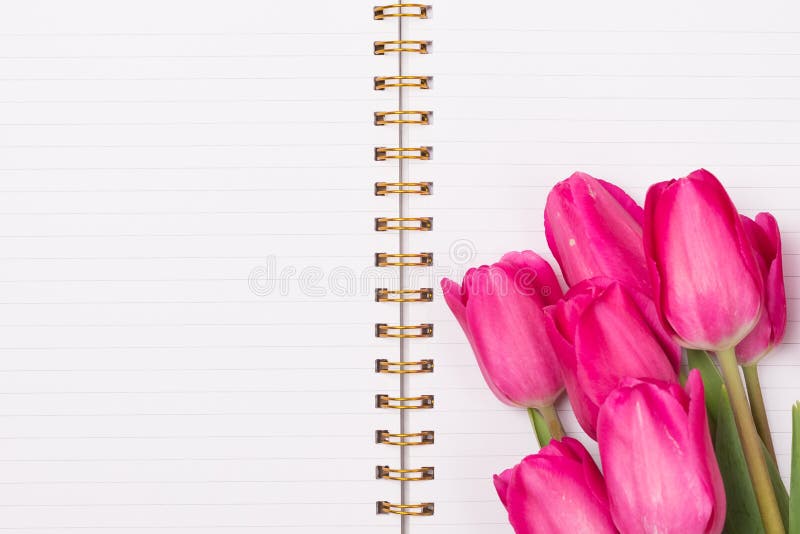 Close-up Leeg document notitieboekje met roze tulpenbloemen op beige lijst Hoogste mening Het concept van de lente De achtergrond royalty-vrije stock fotografie Close-up Leeg document notitieboekje met roze tulpenbloemen op beige lijst Hoogste mening Het concept van de lente De achtergrond royalty-vrije stock fotografie