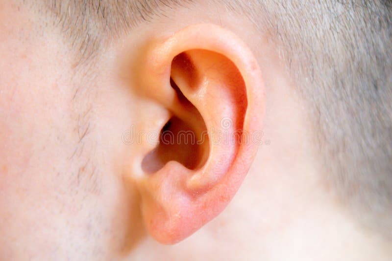 Close up of a left human ear stock photo Close up of a left human ear stock photo